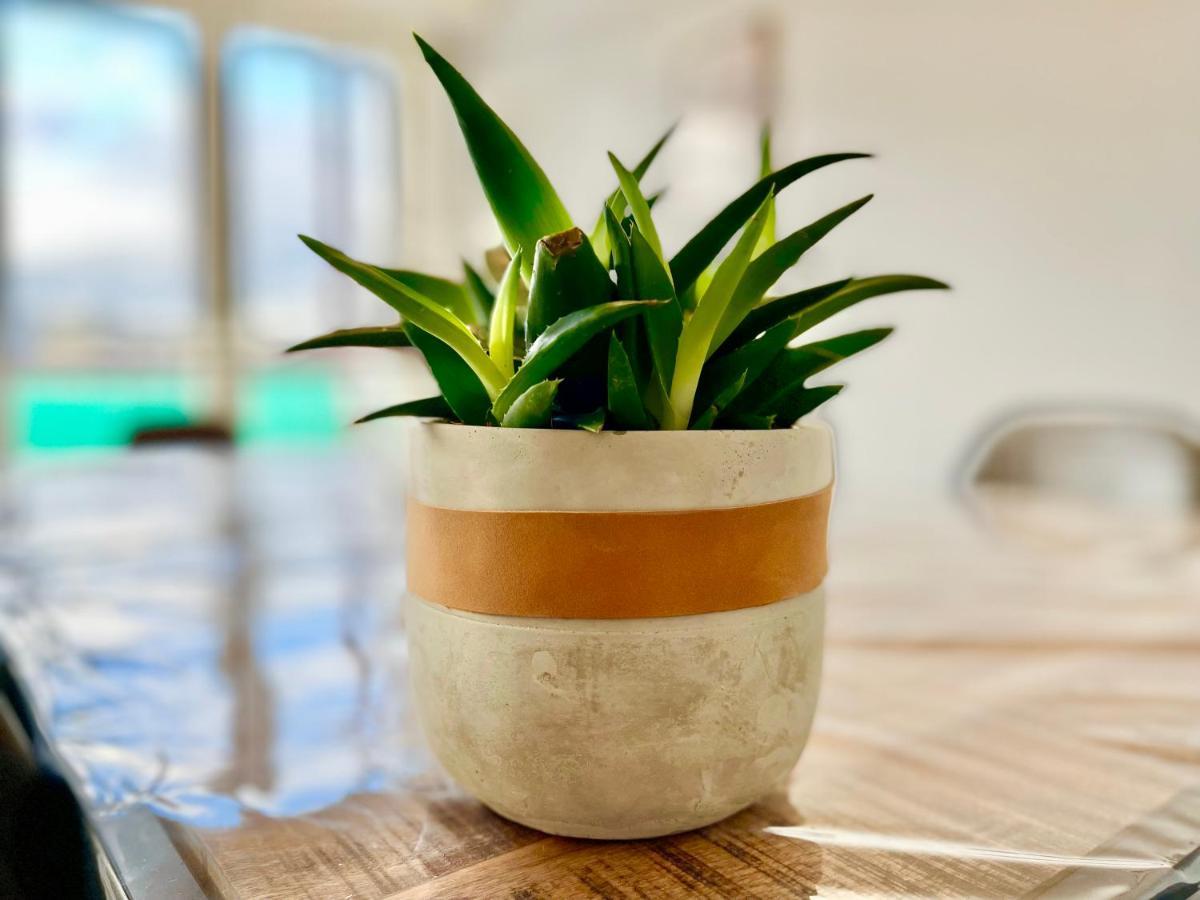 Colmar - La Cigogne - Balcon - Vue Degagee - Netflix - Wifi Fibre - Parking Gratuit - Quartier Populaire Apartman Kültér fotó