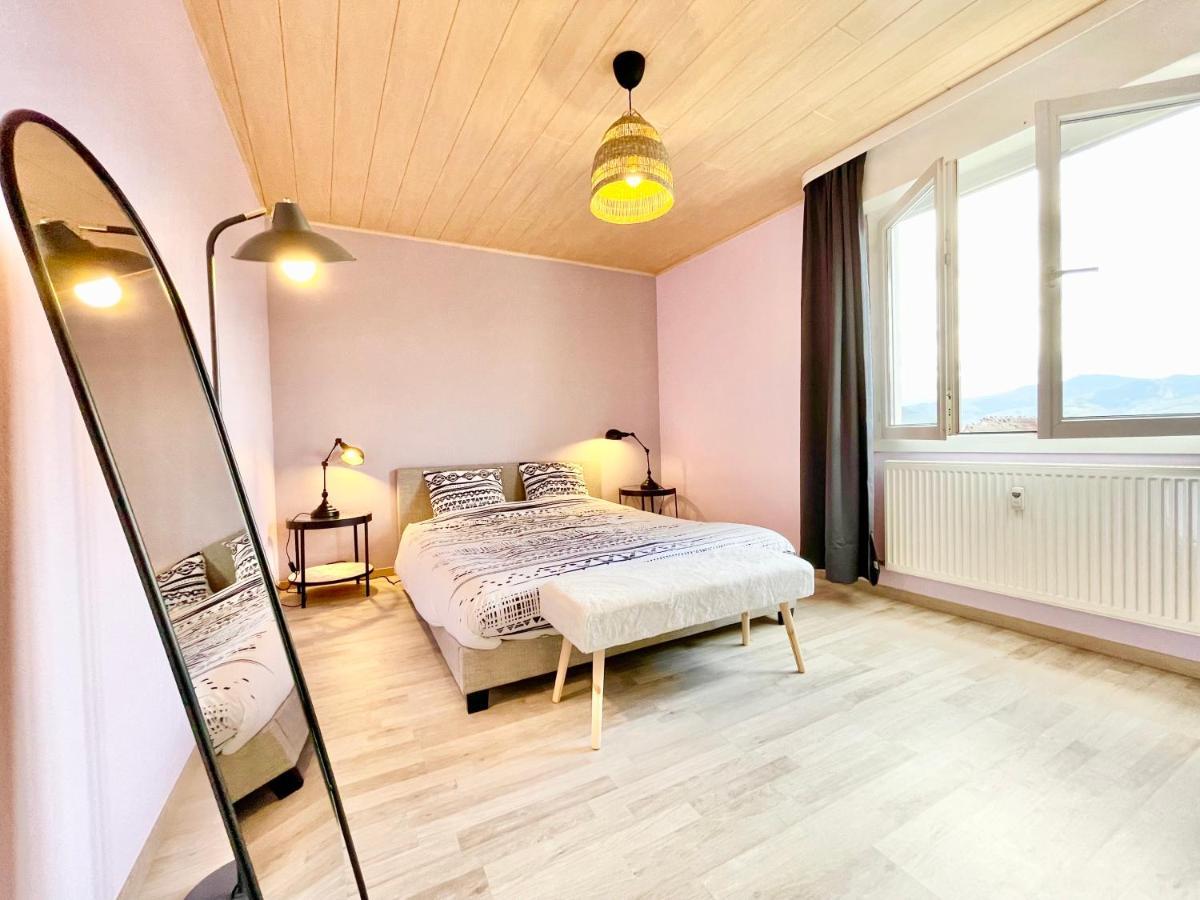 Colmar - La Cigogne - Balcon - Vue Degagee - Netflix - Wifi Fibre - Parking Gratuit - Quartier Populaire Apartman Kültér fotó